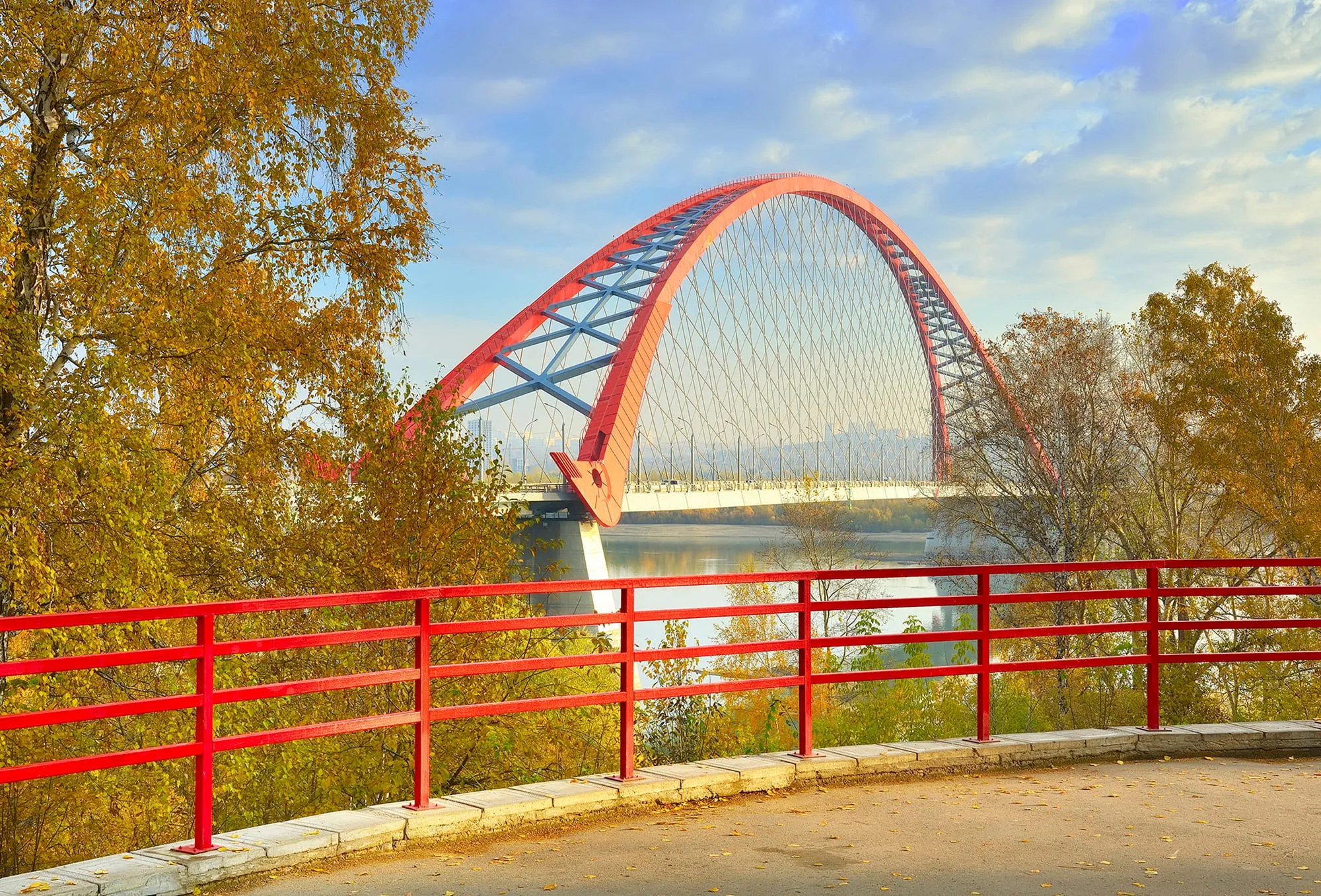 布格林森林公园