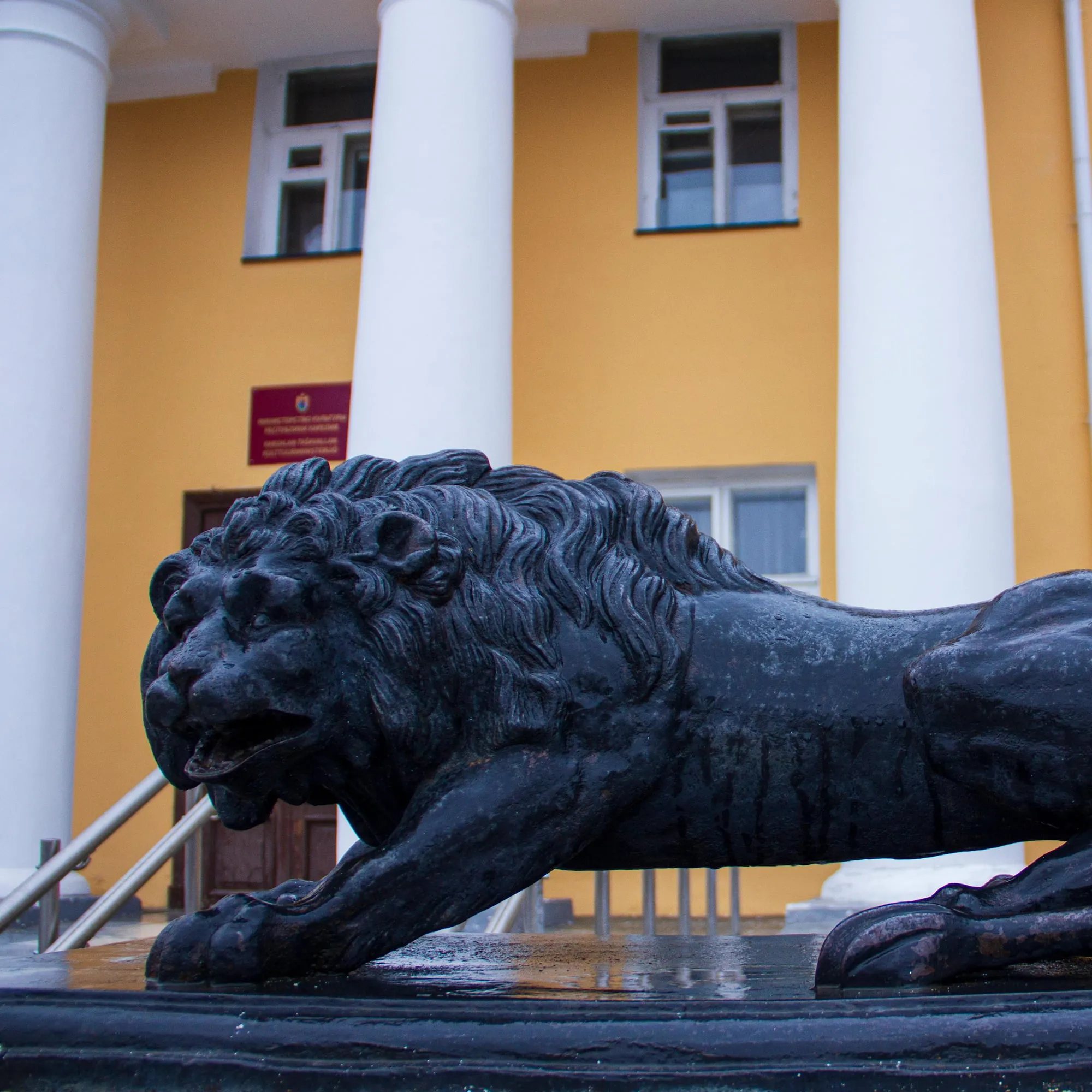 彼得罗扎沃茨克国家博物馆