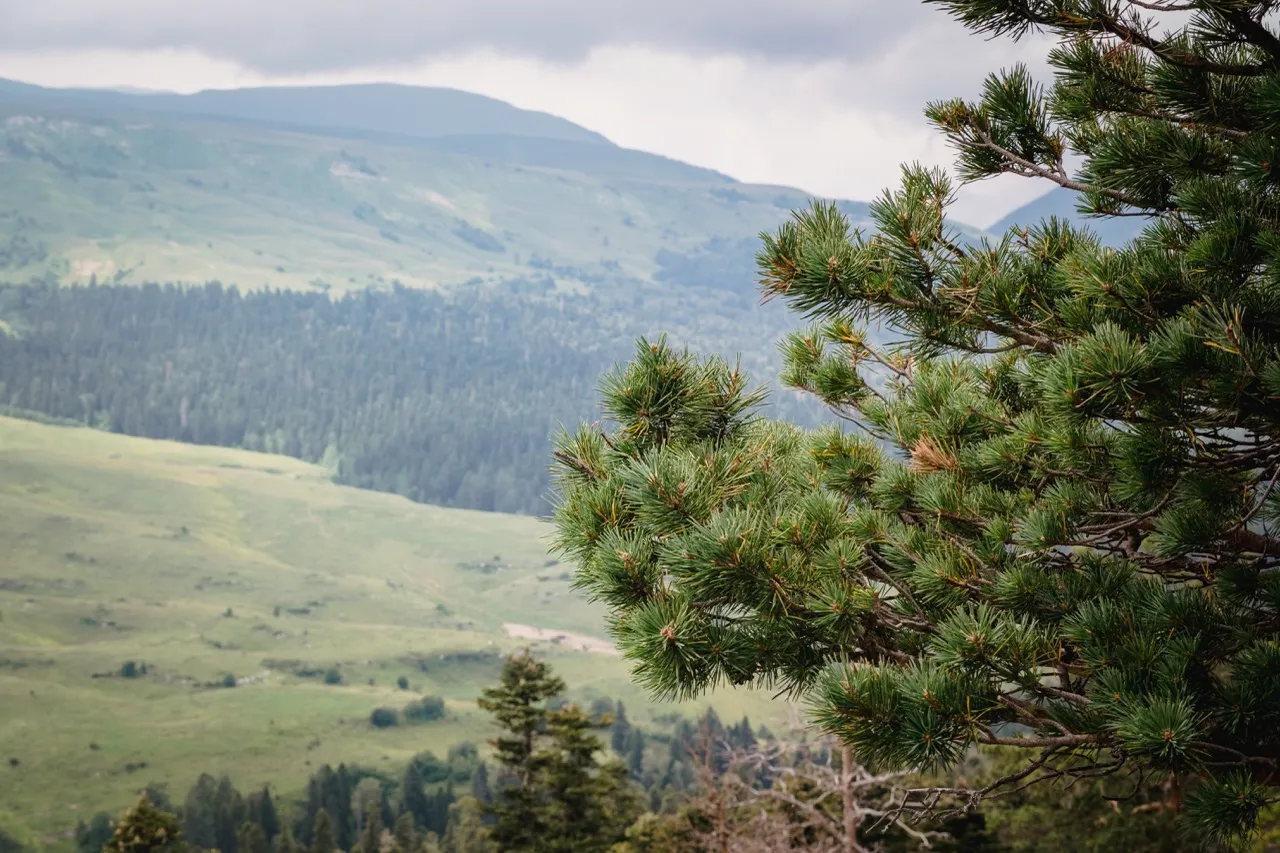 "Dahovskaya Sloboda" 度假村