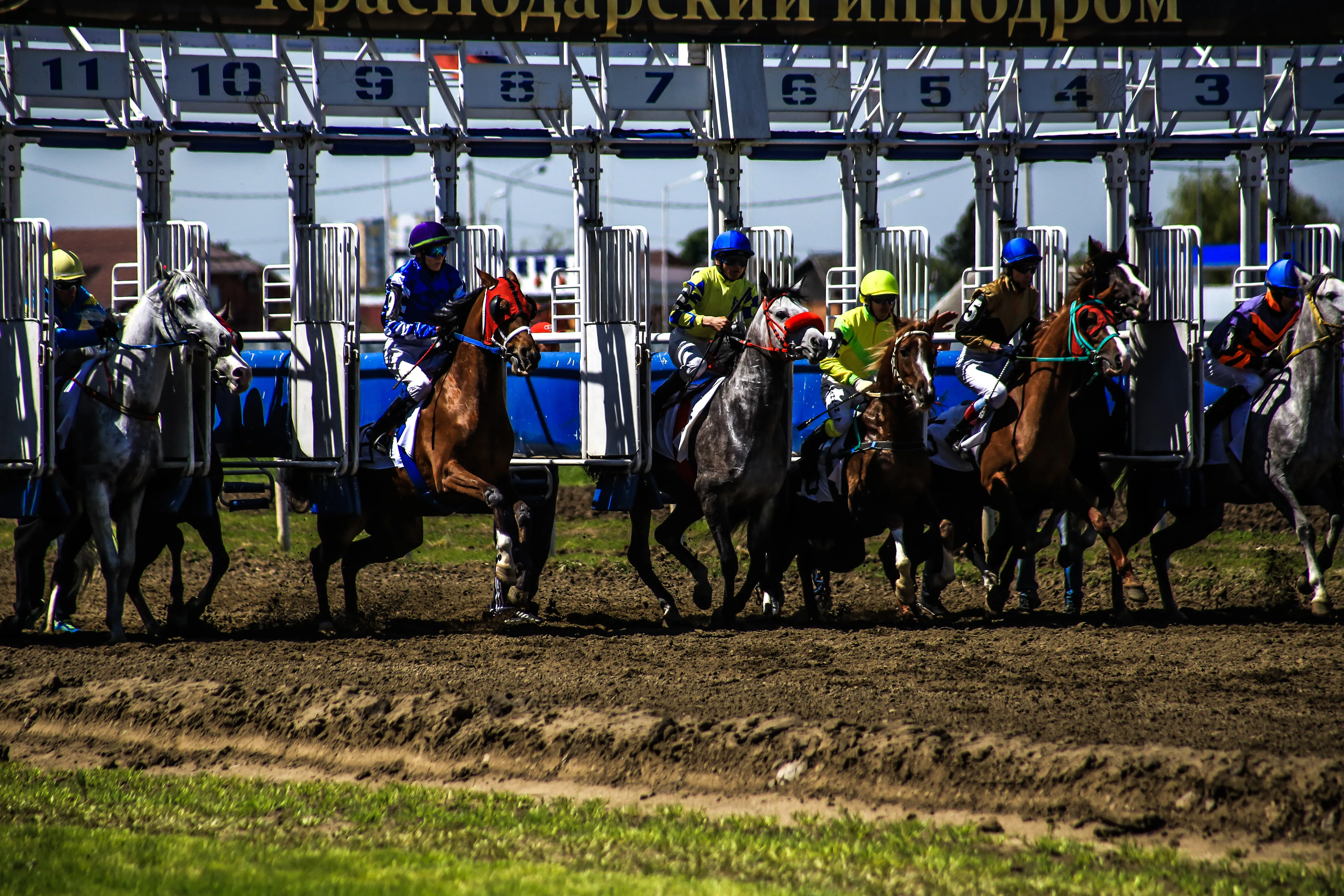 克拉斯诺达尔赛马场