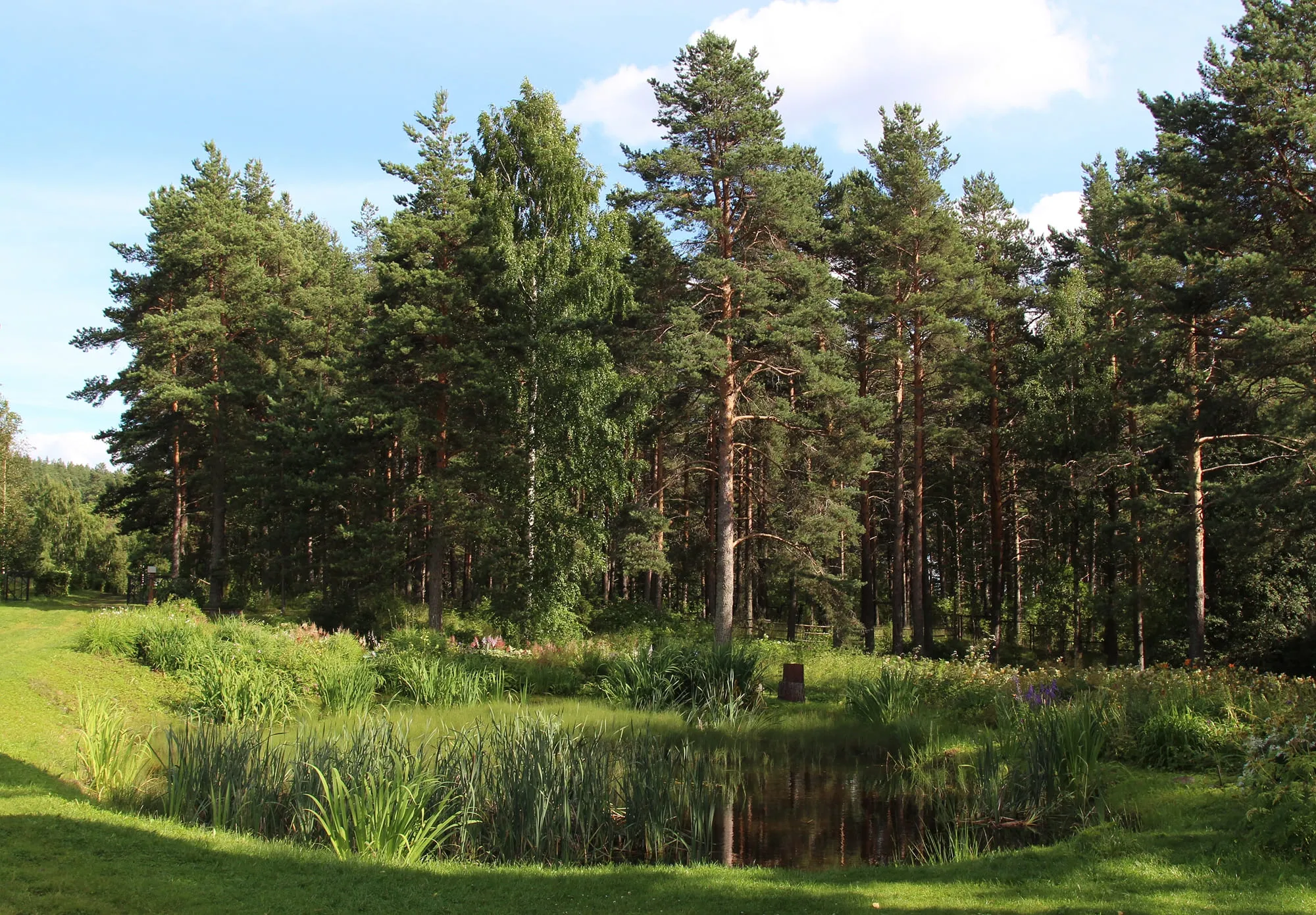 彼得罗扎沃茨克大学植物园