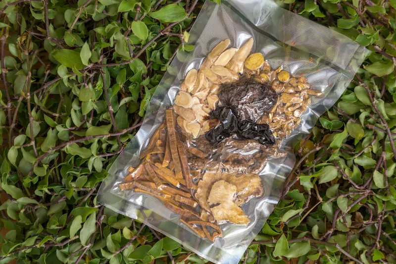 针叶林野生食材