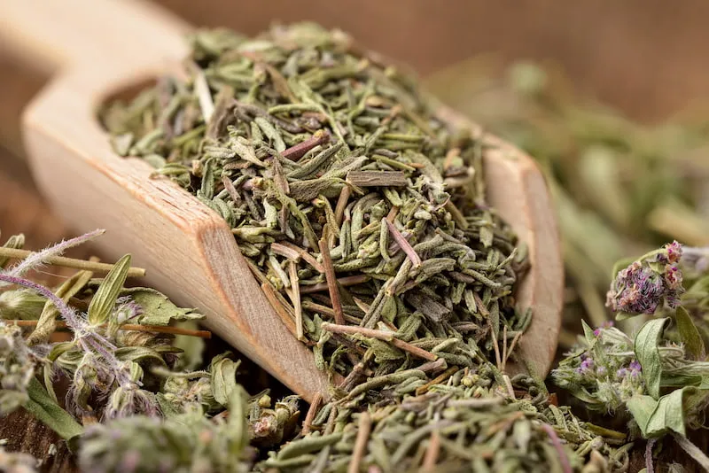 达吉斯坦草本茶