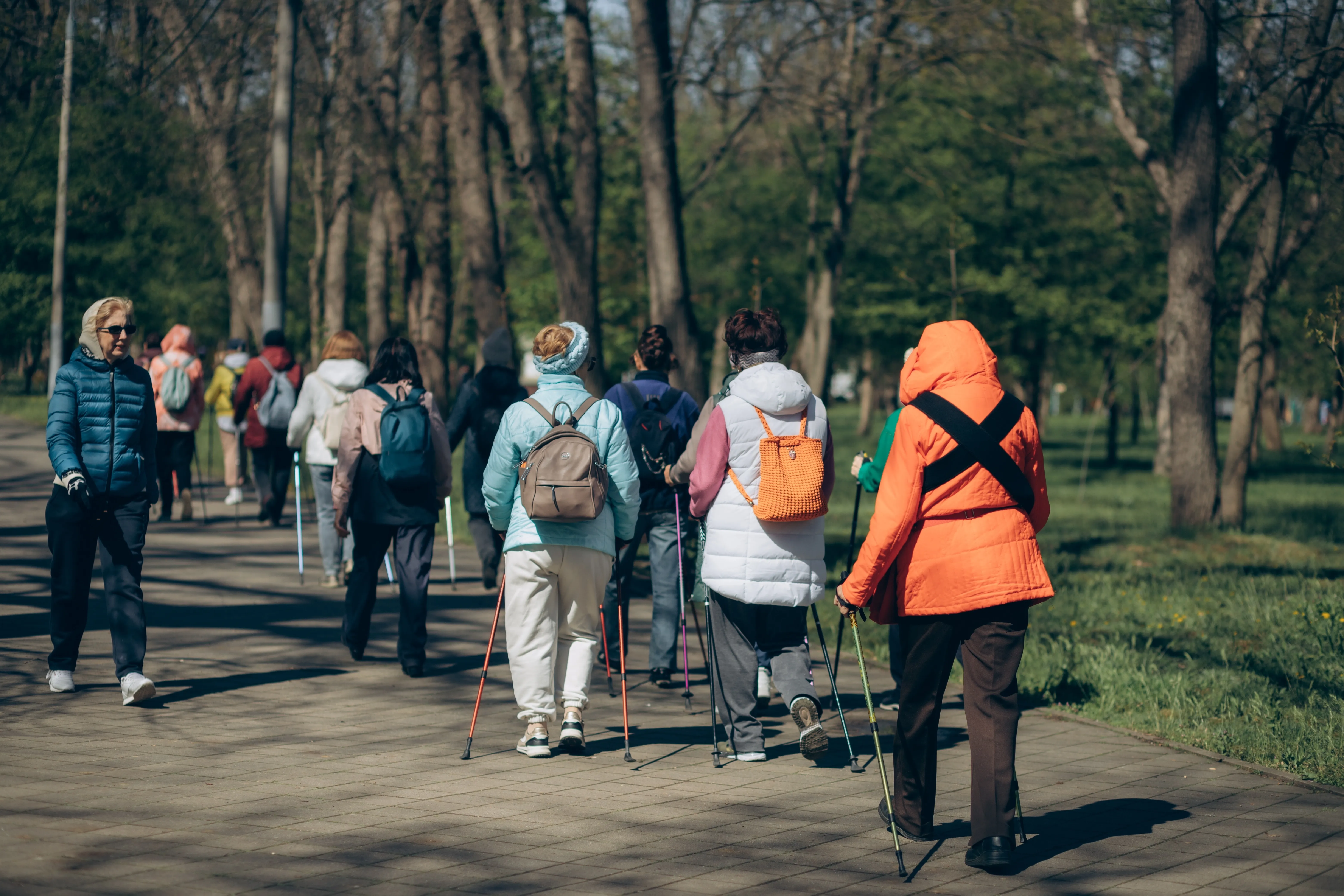 奇斯佳科夫树林公园
