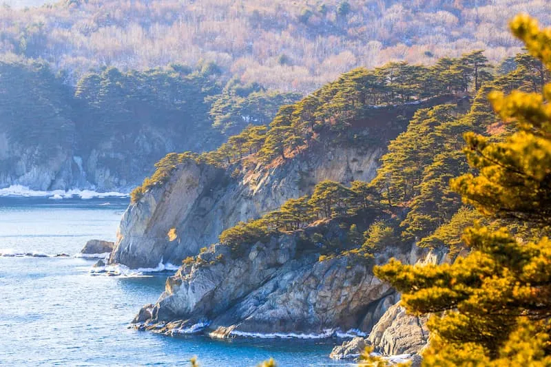 远东海洋保护区